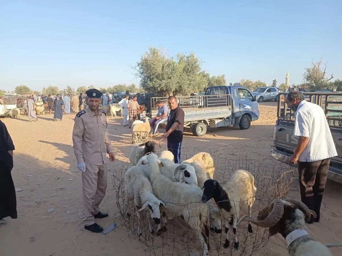 المخاوف من تفشي «الحمى القلاعية» تدفع ليبيا إلى توسيع إغلاق أسواق الماشية